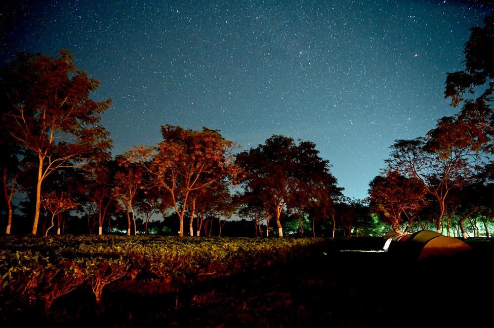 Campsite & starry nights